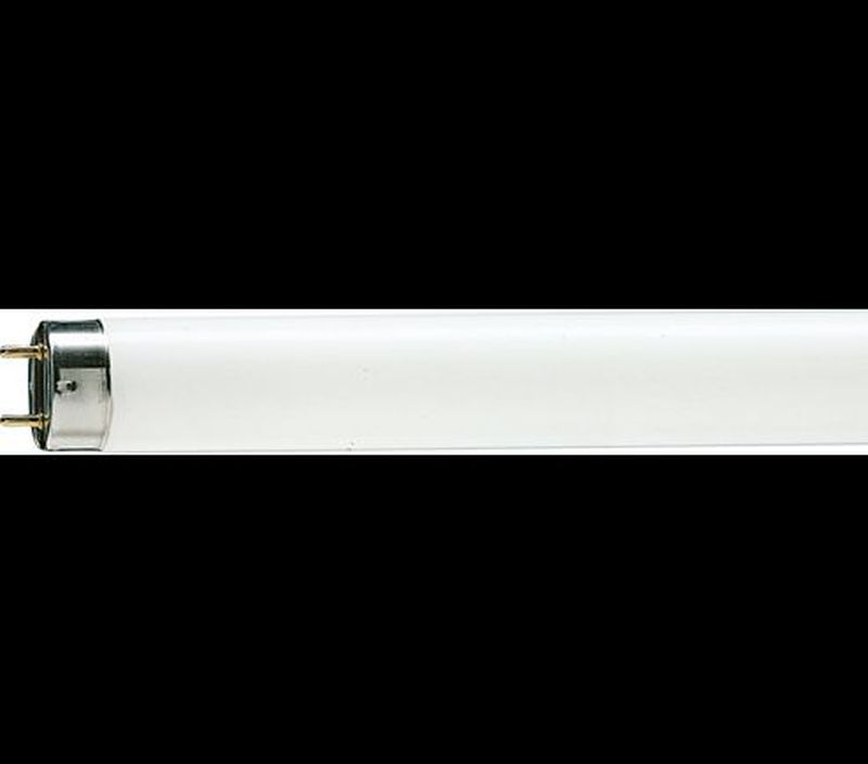 Philips Lampu TL-D TL 36W/54-765 - 36 Watt - Putih - Putih