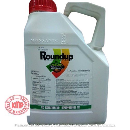 Roundup Racun Rumput