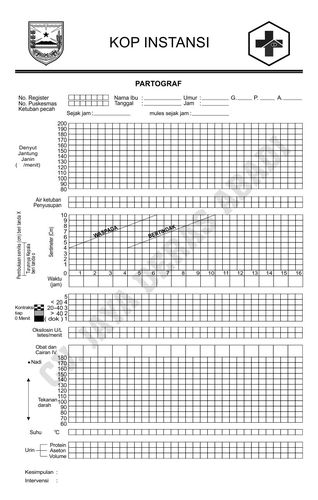 Form Partograf