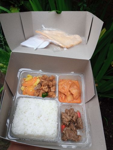 Nasi Box Maksi Daging paket-18