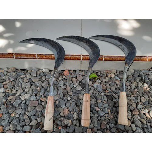 ARIT PEMOTONG RUMPUT