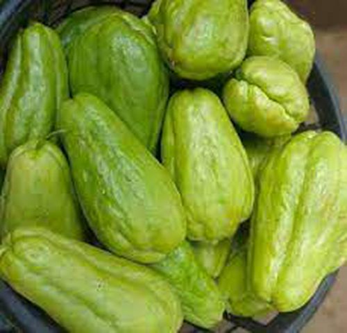 Labu siam
