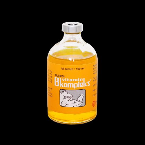 Inj Vit B Komp 100 Ml
