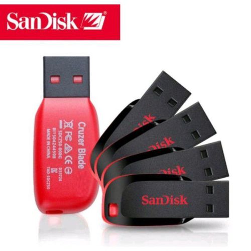 FlashDisk - 8 GB