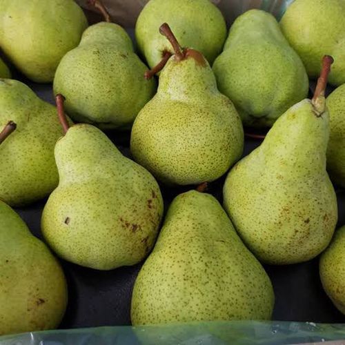 Pear Packham