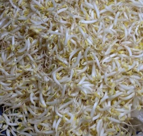 sayur Toge