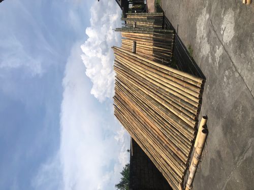 bambu