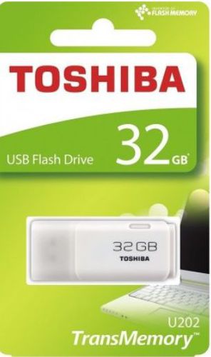Flash Disk