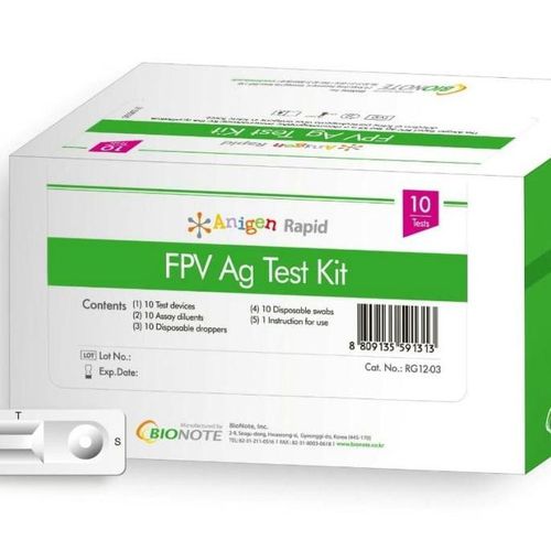 RAPID TEST ANIGEN