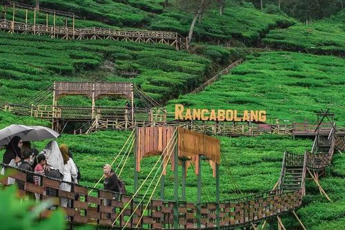 Paket Wisata - Ciwidey