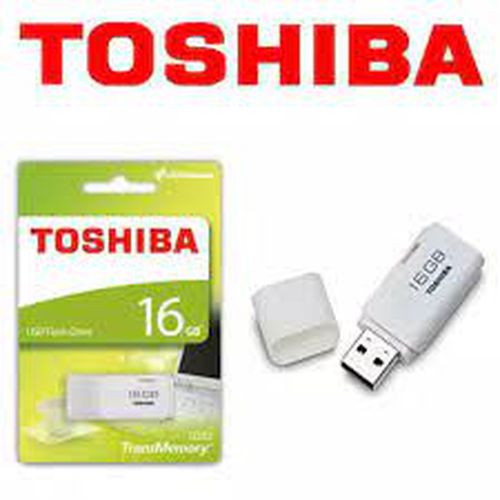 Flash Disk