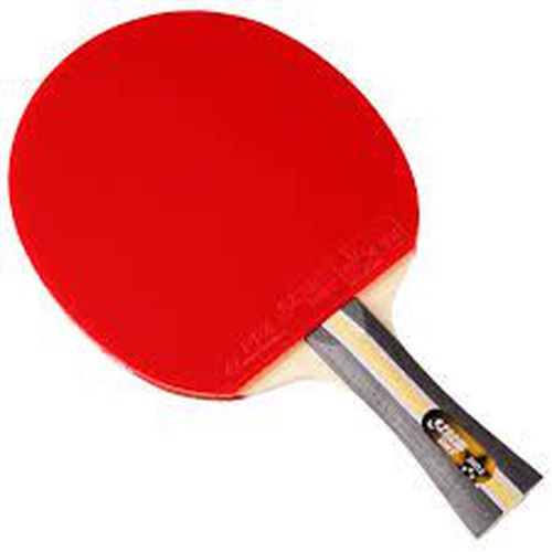 bed ping pong