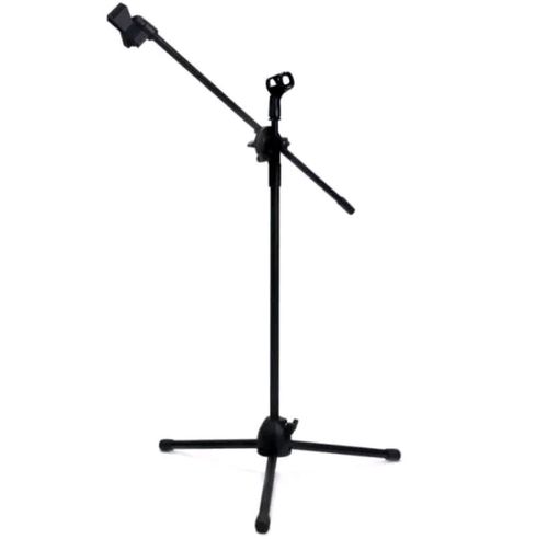 Stand microphone