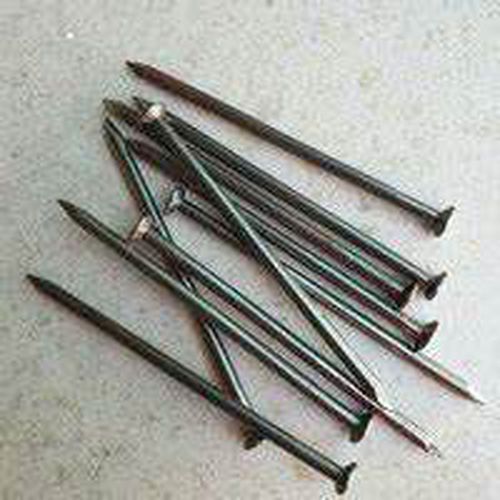 Paku biasa 3 inch