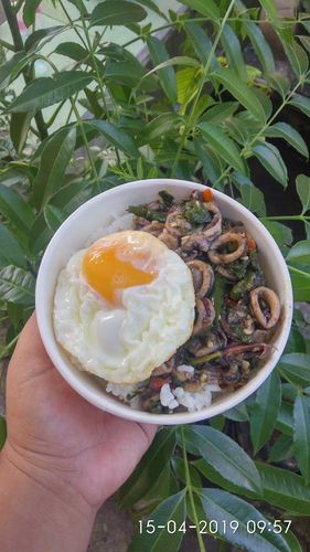 Rice Box - Menu