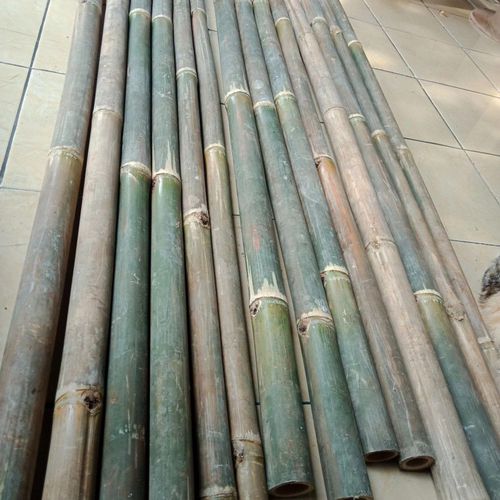 bambu