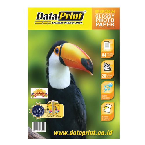 Dataprint Glossy Photo Paper