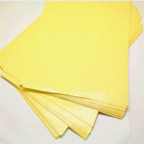 Terminal Paper