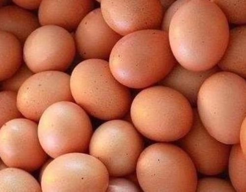 Telur