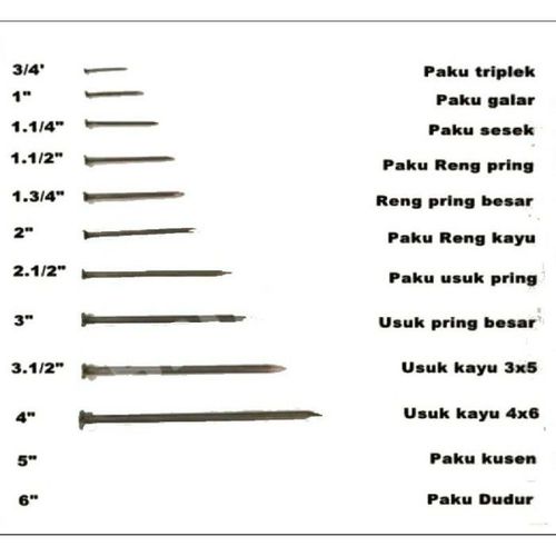 PAKU (ANEKA UKURAN)