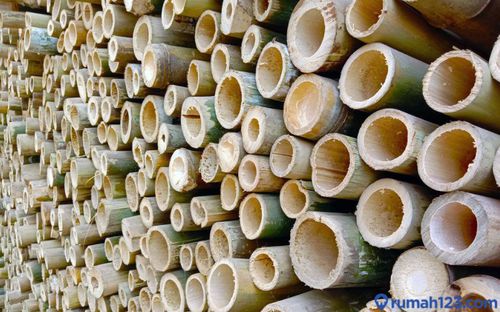 Bambu