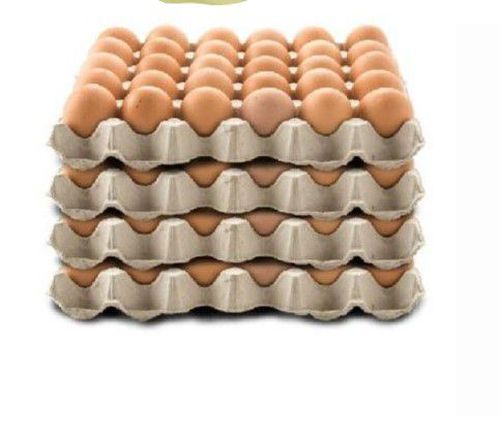 TELUR