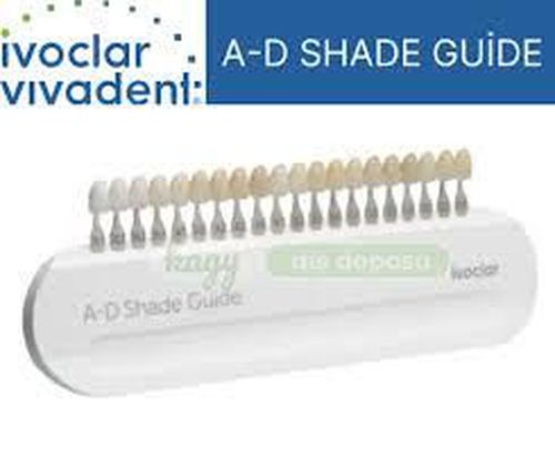 Shade Guide