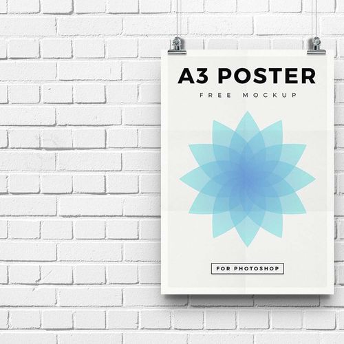 Poster Custom