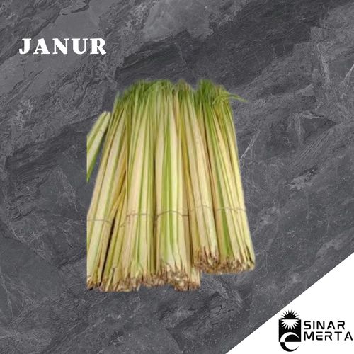 JANUR