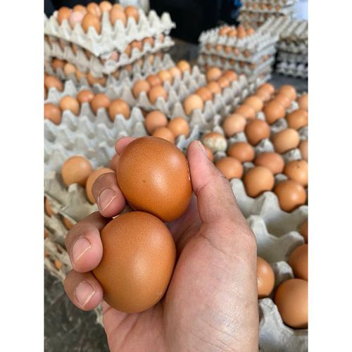 TELUR 1 Kg