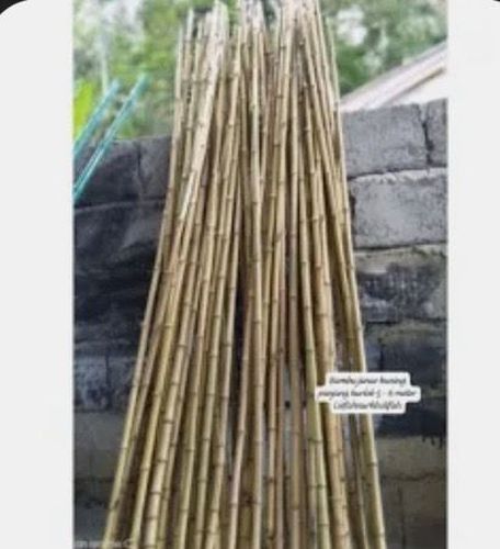 Bambu