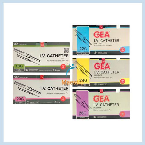 IV Catheter - G24