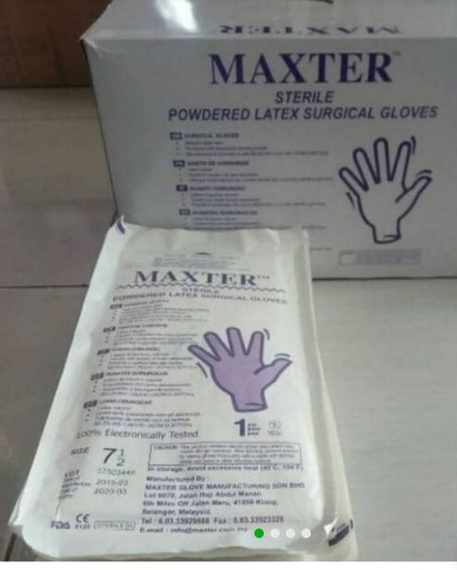 maxter surgical gloves