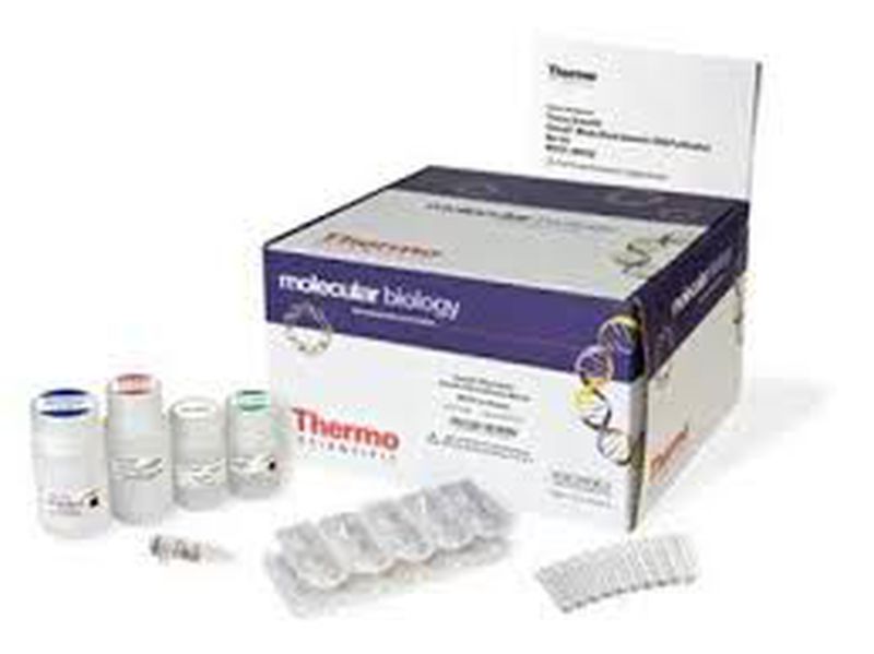 GeneJET Viral DNA/RNA Purification Kit, 50 preps
