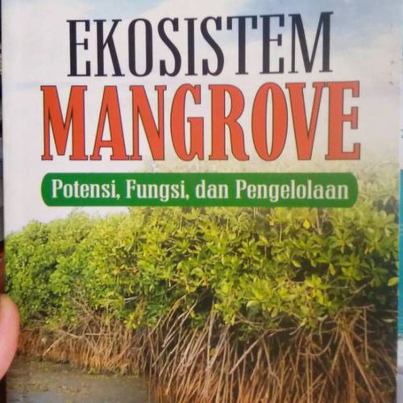 Ekosistem Mangrove