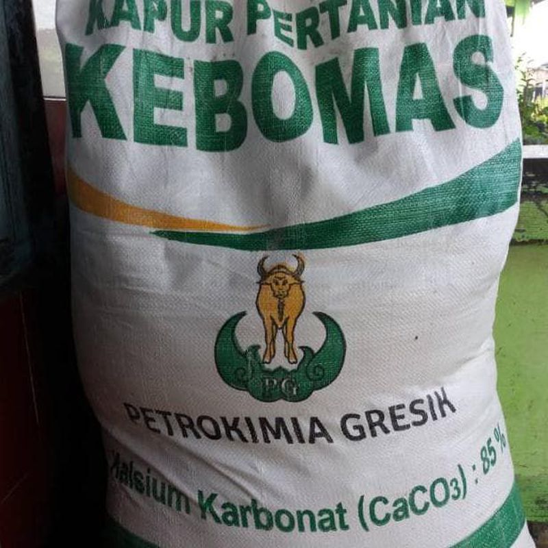 Jual Pupuk Kalsium Karbonat Kapur Pertanian Caco3 Mesh100 1 Kg Di Lapak Tjipta Agro Sukses Bukalapak