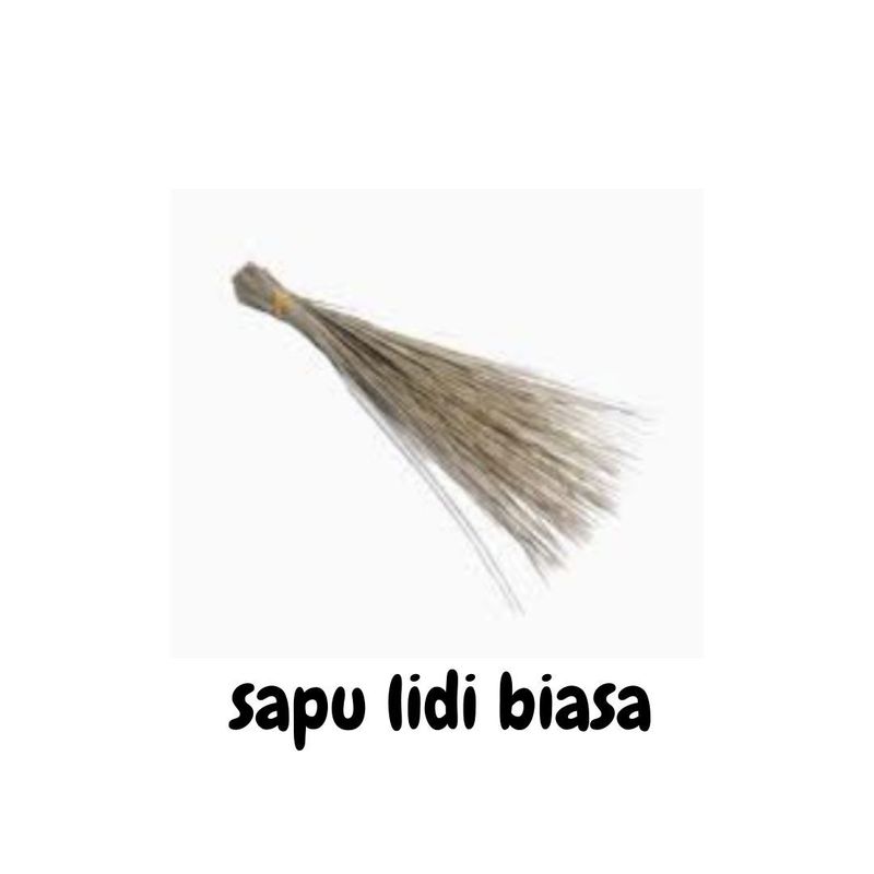 Sapu Lidi Biasa