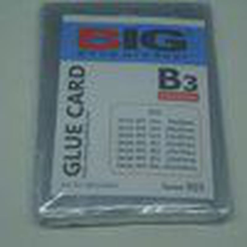 BIG CARD CASE B3