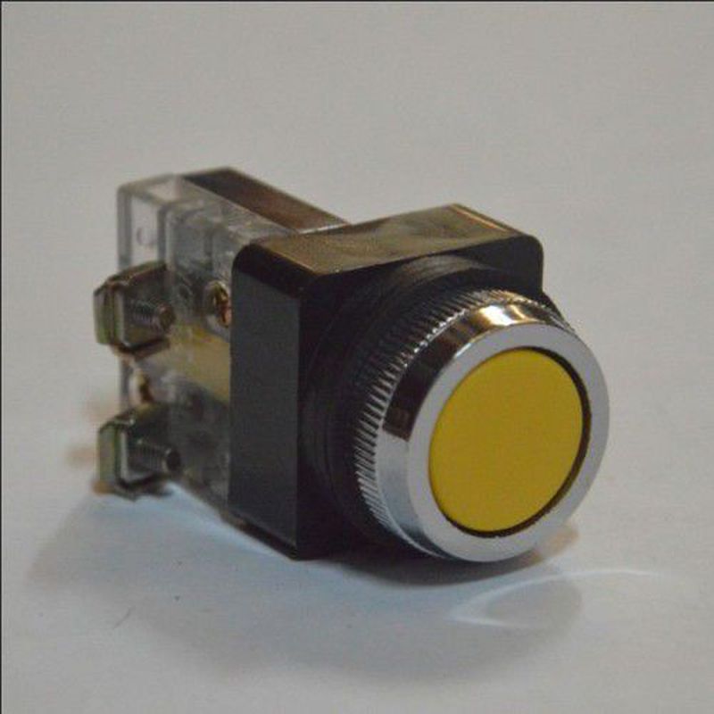 PUSHBUTTON