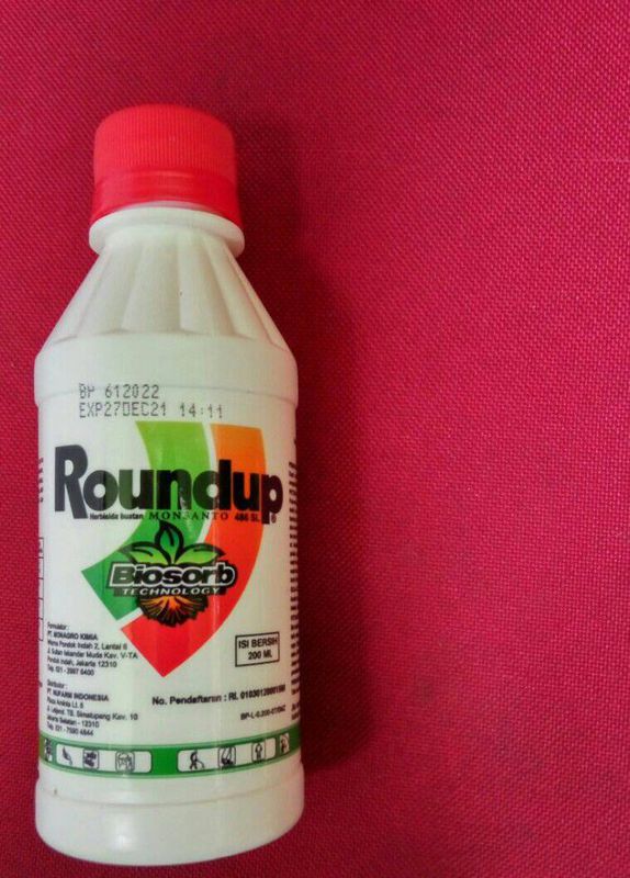 RACUN RUMPUT