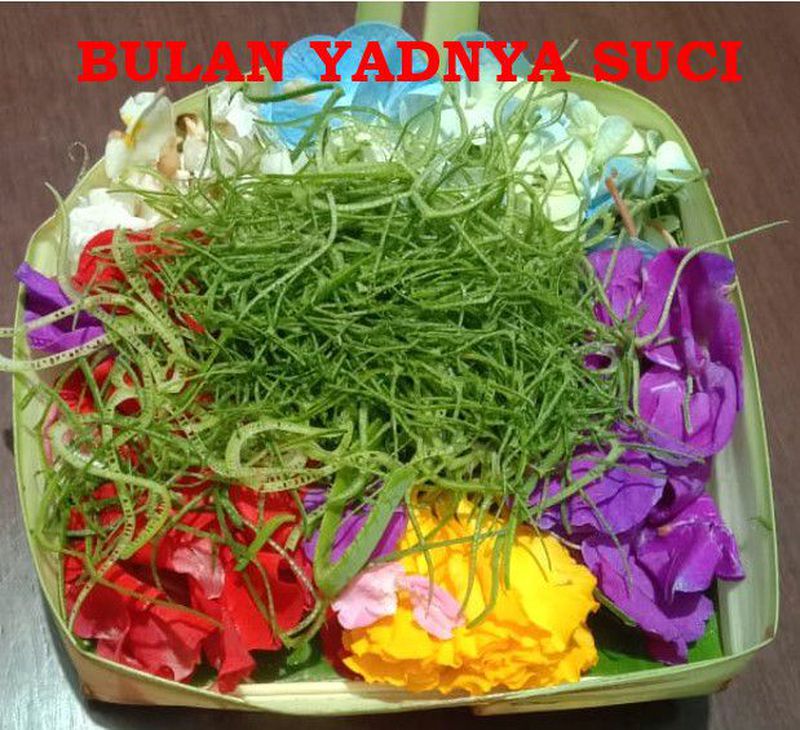 Canang Ceper Harian