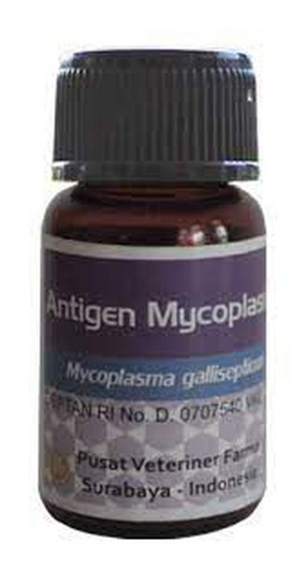 Antigen Mycoplasma