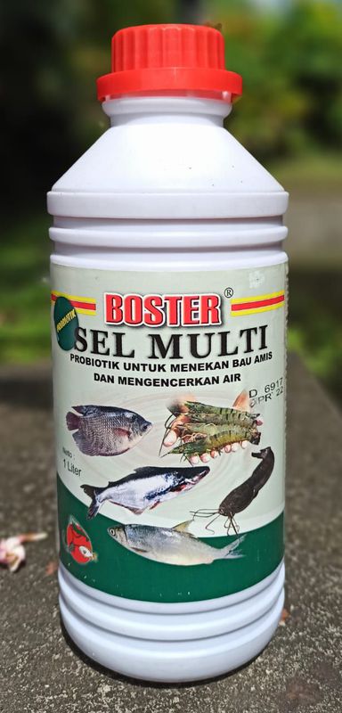 BOSTER SEL MULTI