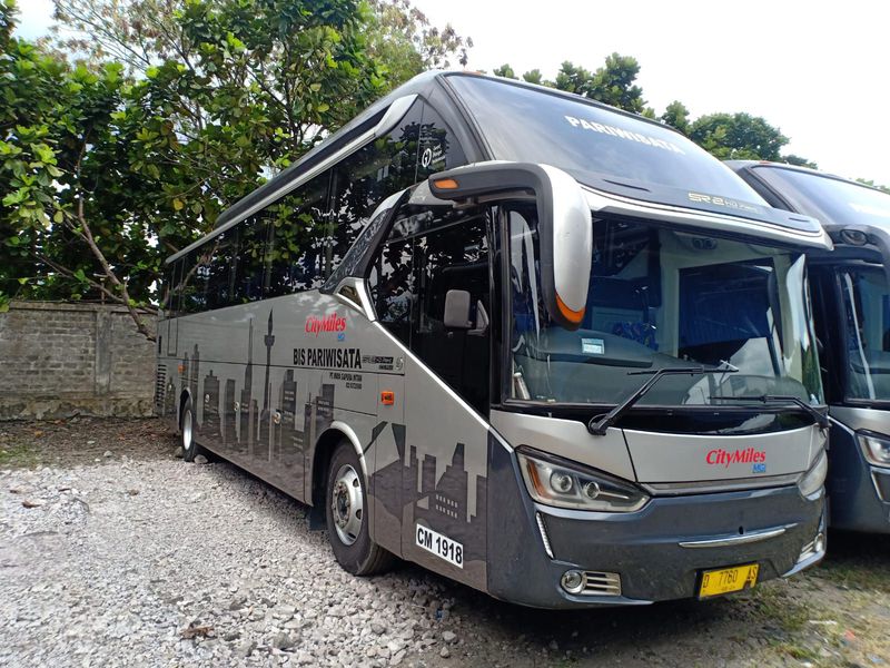 BUS PARIWISATA