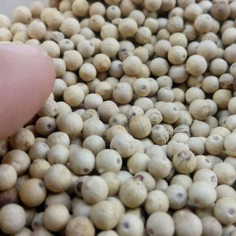 MRICA