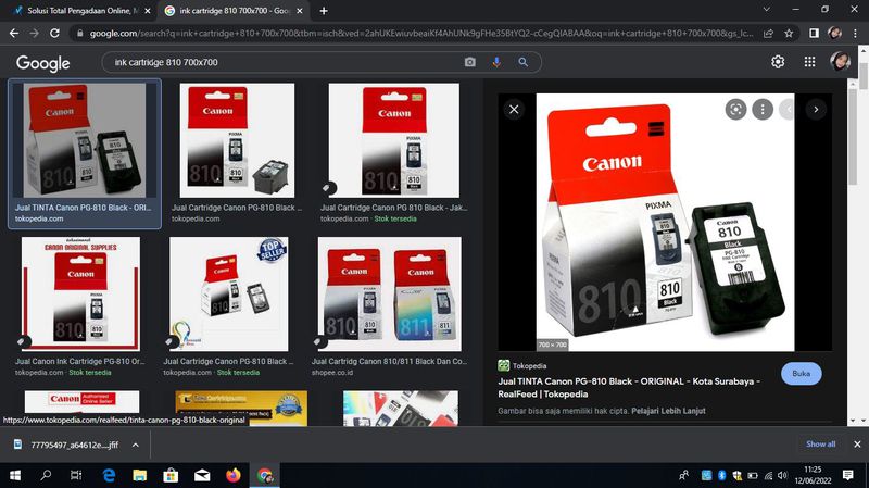 Ink cartridge 810 Ink