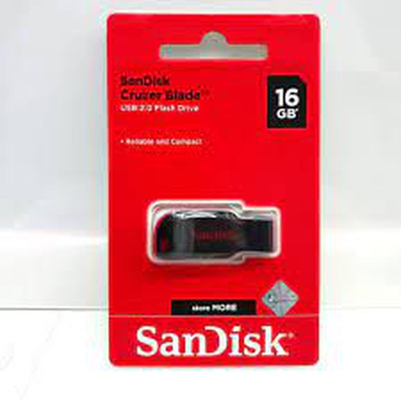 FLASH DISK
