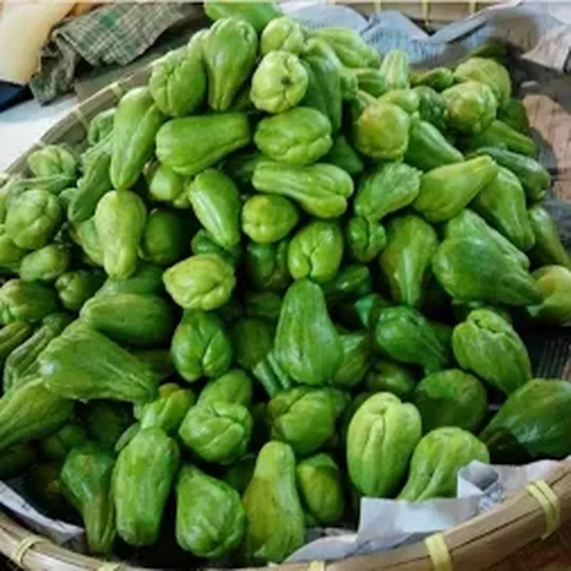Labu Siam Lokal Segar