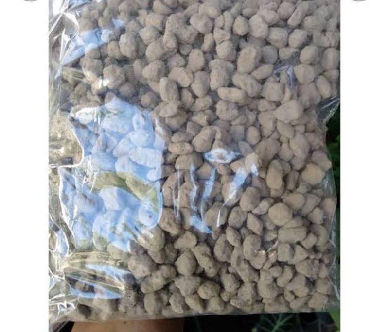 Pumice