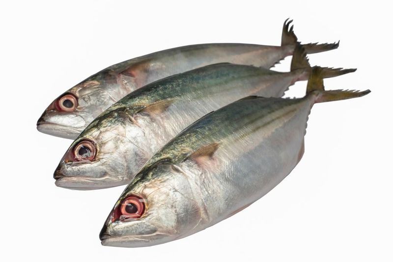 Ikan segar dan ikan olahan - Panggang